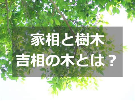 幸運木風水|家相風水での庭木の東西南北全方角別の吉凶と具体的な種別を解。